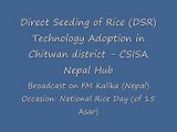 Direct Seeding of Rice   Nepal Hub