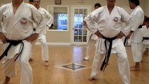 Gekko karate  kihon