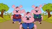 Three Little Pigs   Fairy Tales In English   Animated   Cartoon Stories For Kids