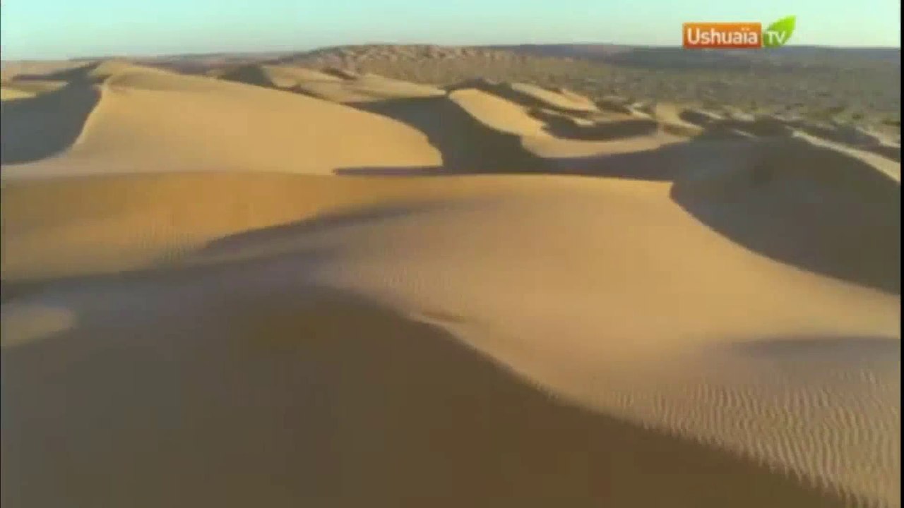 Planète Terre, aux origines de la vie - Saison 2 - EP 13/13 - Le Sahara