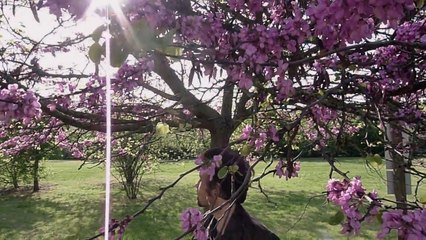 Guido Maria Grillo - Canzone per me