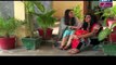 Raja Indar Episode 63 - 20 August 2015 - Ary Zindgi