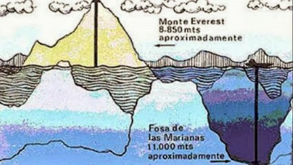 5 COSAS QUE NO SABÍAS DEL FONDO DEL MAR