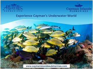 Explore Underwater Cayman on an expedition in Atlantis Submarine