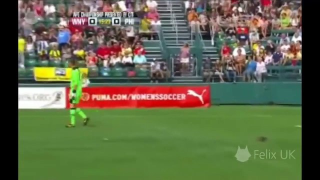 Смешные футбольные моменты. Животные на поле