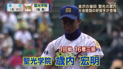 プレイバック2011　夏の甲子園　第93回全国高校野球選手権大会