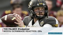 Palmer: Mizzou Scrimmage Breakdown