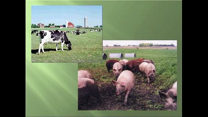 Monsanto Corporation gets owned by 11 year old boy