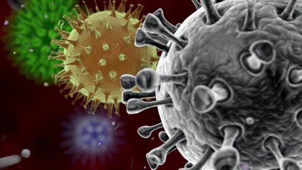 El coronavirus MERS