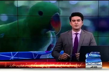 India Arrests a Parrot Yes Parrot !!