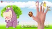 Cartoon Animals Finger Family Collection Cartoon Animals Finger Family Songs Animals Nursery Rhymes