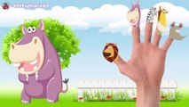 Cartoon Animals Finger Family Collection Cartoon Animals Finger Family Songs Animals Nursery Rhymes