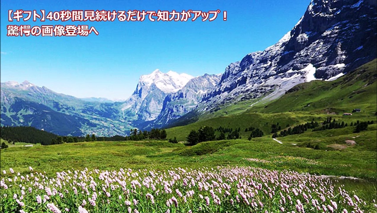 【ギフト】40秒間見続けるだけで知力がアップする！驚愕の画像登場へ