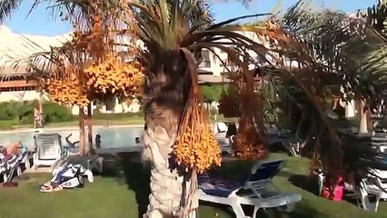 Titanic Beach Spa & Aqua Park Hurgada Egipt 2011 WAKACJE :)