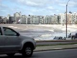 Playa Pocitos, Montevideo Uruguay