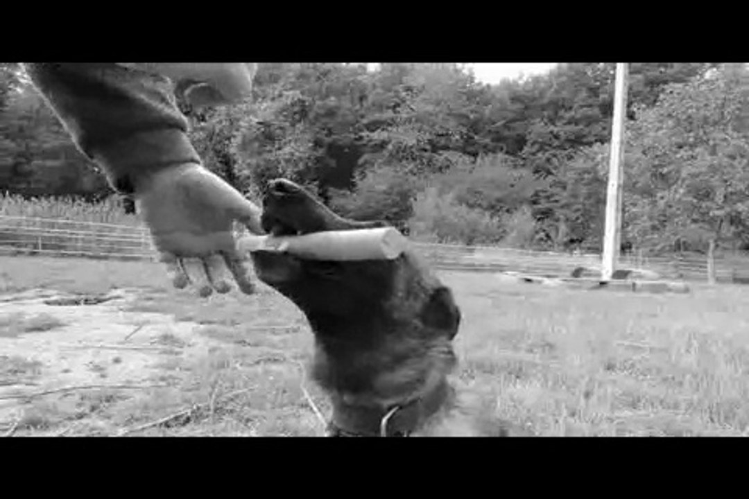 Le Rakuen promenades 2014-07 Aaron 20