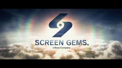 Bande-annonce : The Perfect Guy - VO (2)