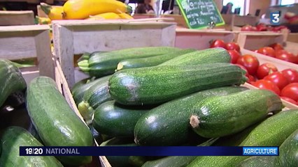 Nord : des agriculteurs vendent leur production sans intermédiaire