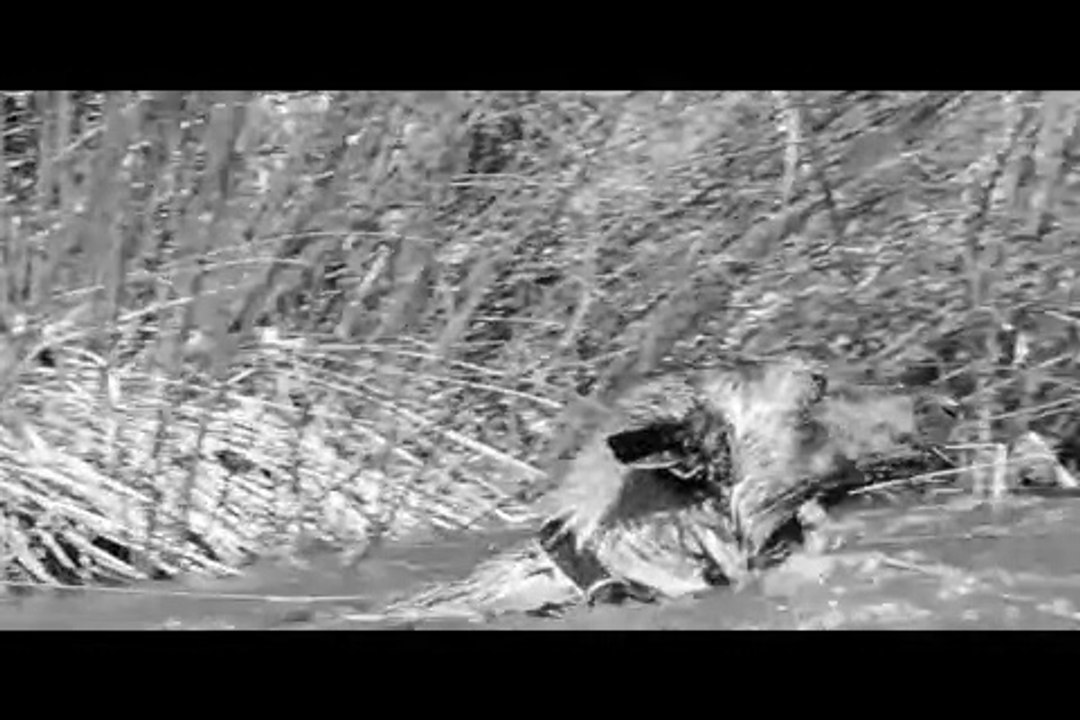 Le Rakuen promenades 2014-08 Aaron