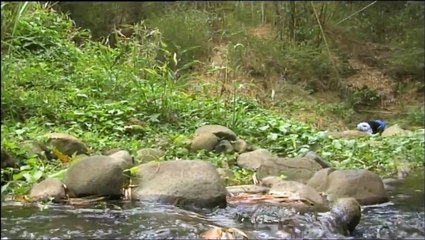 Inside St Lucia: Under "Devil's Bridge"