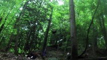 Recreational Tree Climbing - Woods Rope Swing