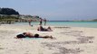 Spiaggia La Pelosa (Stintino) - Spiagge della Sardegna