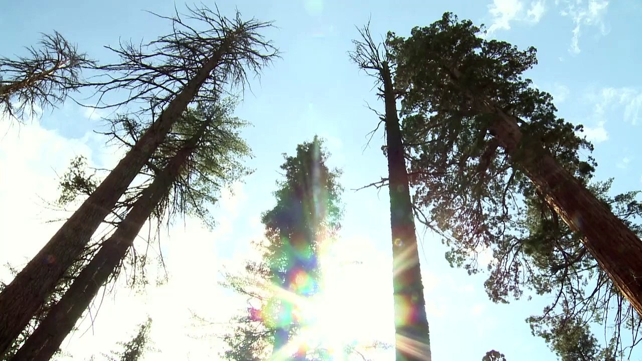 Offenbar weiterer Pest-Fall im Yosemite-Nationalpark