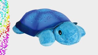 CloudB Blue Twilight Turtle