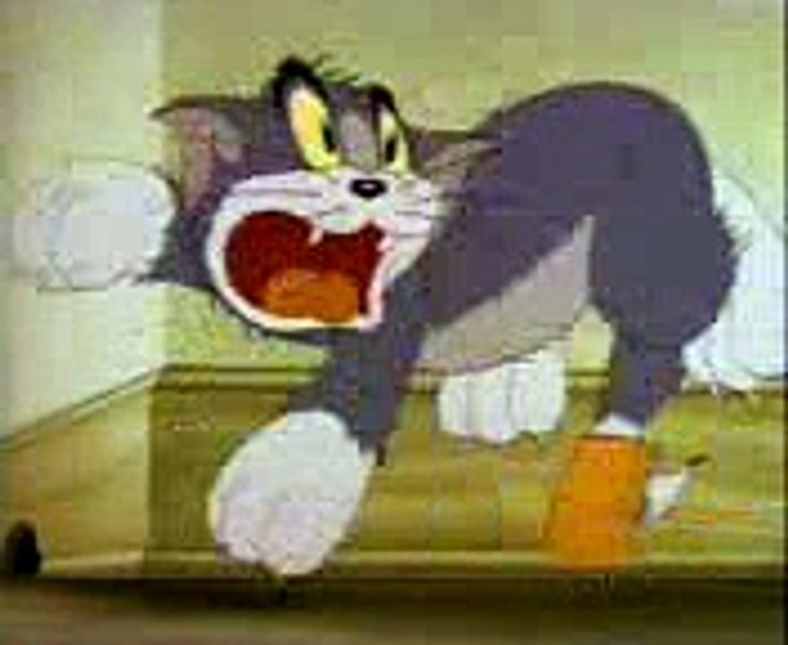 Tom & Jerry