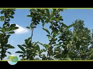 VIVA LA CAMPAGNA VIVA