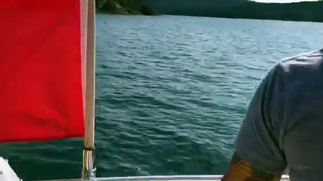 Seal Escapes From Killer Whales in Dinghy