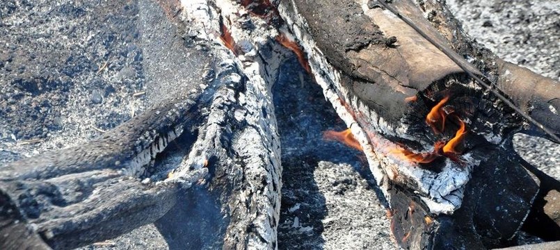 Termik santral yapılmak istenen Yırca'da zeytin ağaçları kül oldu