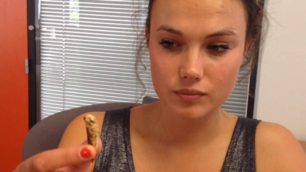 Julie a testé pour vous : l'apéro insectes