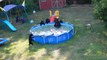 Un ours et cinq oursons se rafraichissent dans une piscine - Le Zapping insolite