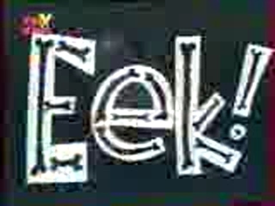 Eek_le_chat_debut