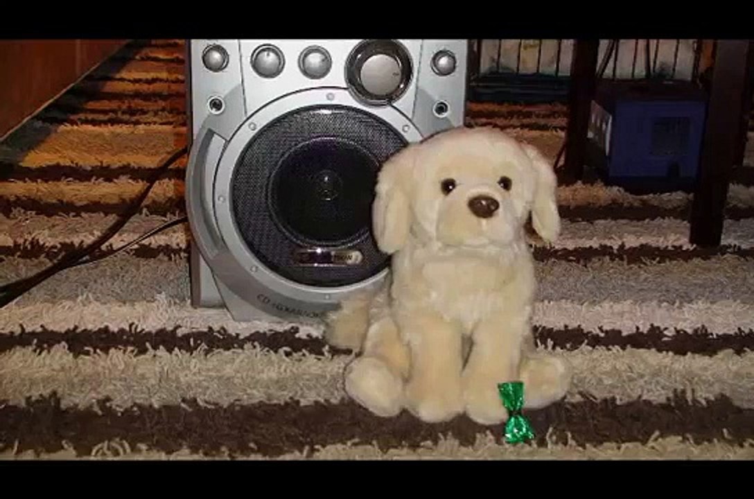 ~Around the World~ webkinz music video