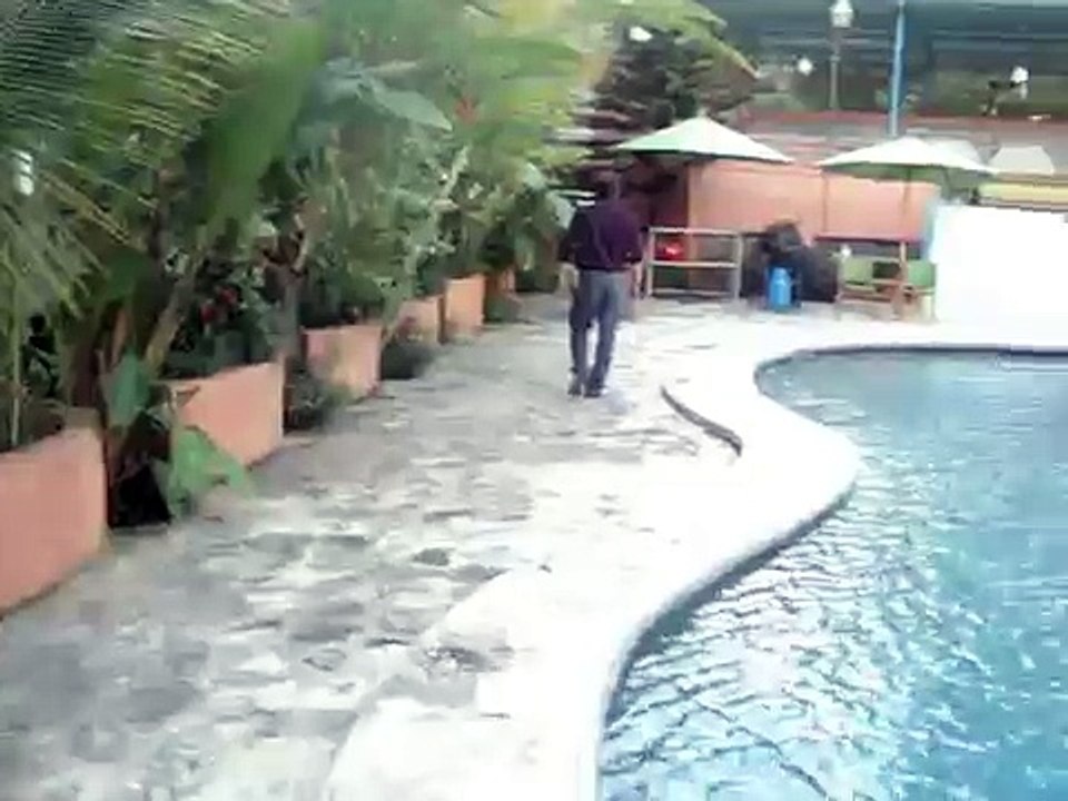 les coralies poolside,montagne noire,petion-ville.