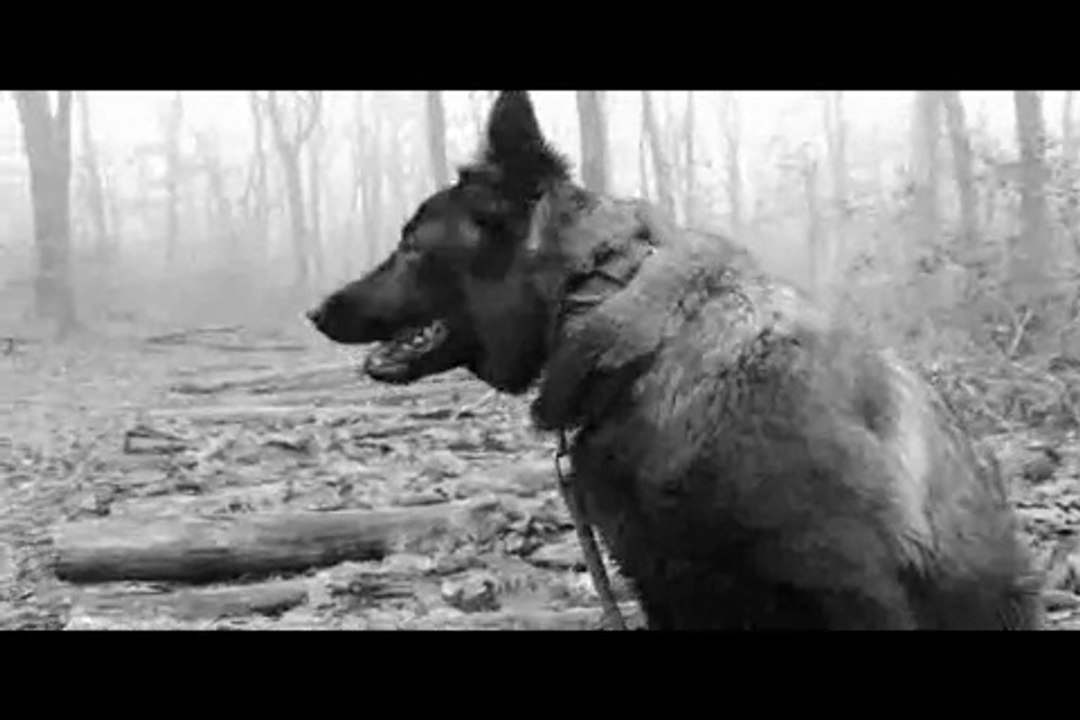 Le Rakuen promenades 2014-12 Jungle