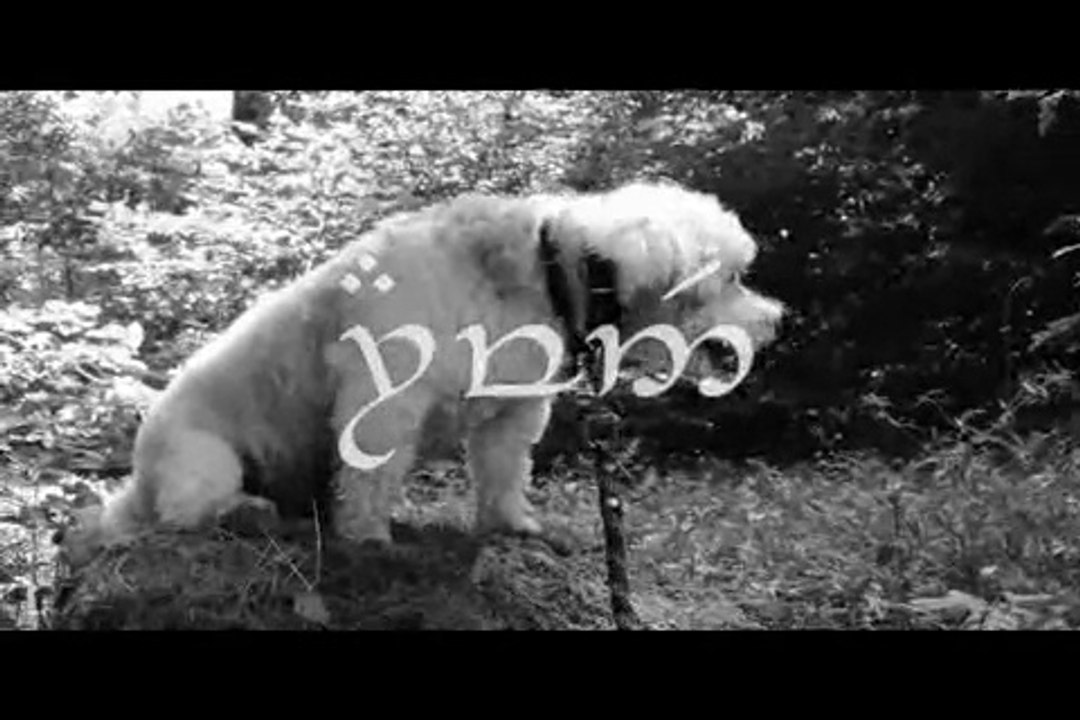 Le Rakuen promenades 2014-08 Arwen