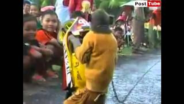 Monkey Ride A Bike Like A Boss