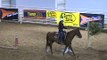 Versatility Ranch Horse Salida CO