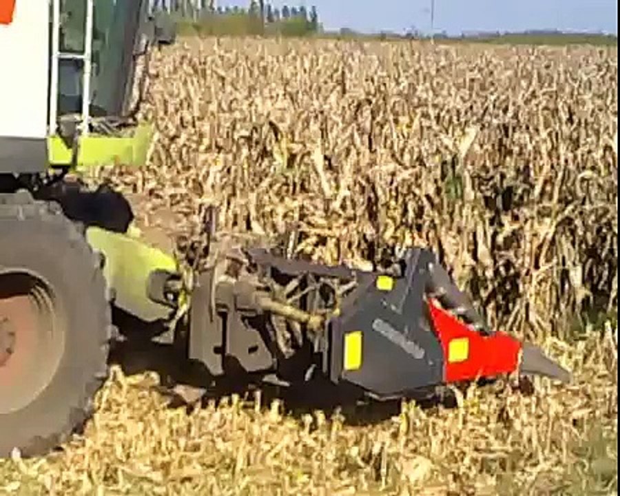 Mais 2010 - Claas Lexion 670 -