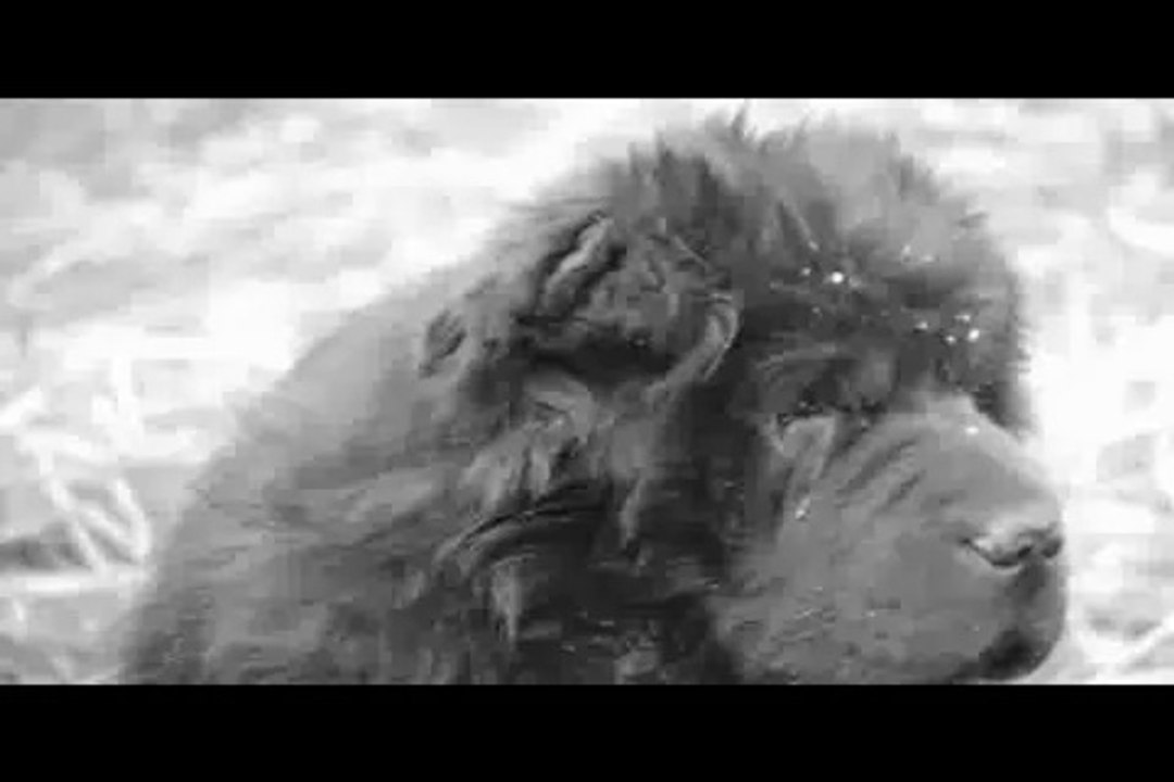 Le Rakuen promenades 2014-12 Hanna