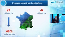 Alexandre Mirlicourtois, Xerfi Canal L'agriculture française : des paysans aux agrinautes