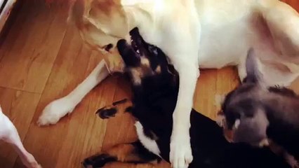 Ρark 핸드폰소액결제 εOIO_3O47_O759ε 빠른 정보이용료 현금화 추천 드릴수 밖에없는 2YOU