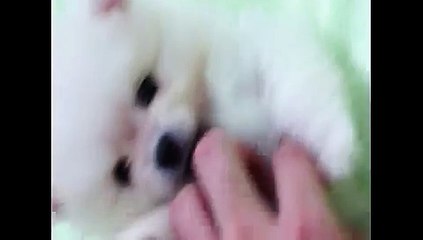 ¹위 핸드폰소액결제 현금화ㅹ『OIO━3O47━O759ｚ휴대폰소액결제 현금화