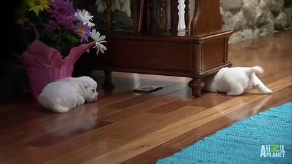 ￡¹등 정보이용료 현금화ㆁ/*/OIO━3O47━O759Φ핸드폰소액대출 현금화