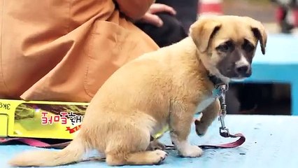 【甲】핸드폰소액결제(주)OIΟ━3O47━O759〔§〕[신속입금〕핸드폰소액결제 현금화/정보이용료 현금화