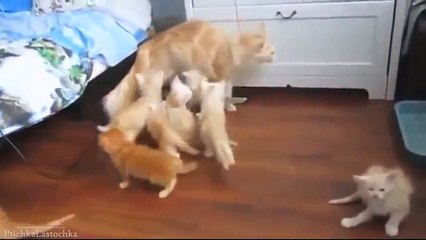 （주）정보이용료 현금화/*//ΟIΟ━3O47━O759〔※〕핸드폰소액결제 현금화/모바일문화상품권