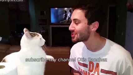 FUNNY CATS Funny Cat Videos 2015 best funny cat vines